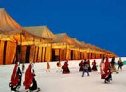 Wildlife and Heritage of Gujarat Tour