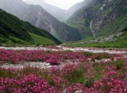 Majestic Valley of Flowers & Hemkund Sahib with Badrinath & Auli Tour