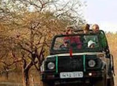 Wildlife Safari in Gujarat Tour