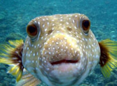 Marine National Park Tour