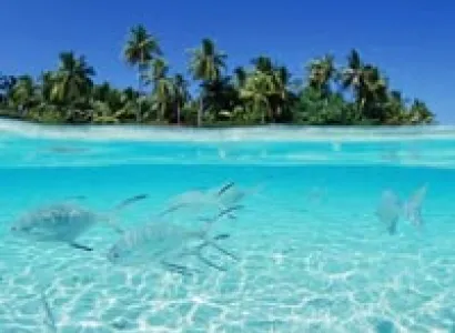 Marvelous Maldives Tour