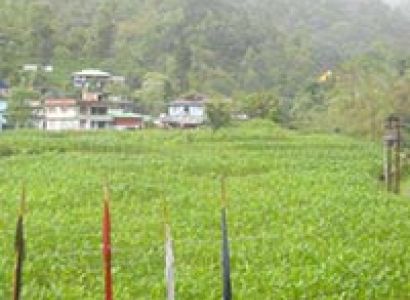 Zuluk - Silk Route - Sikkim Tour