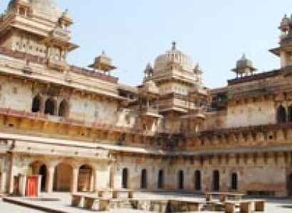 Central India Tiger Tour