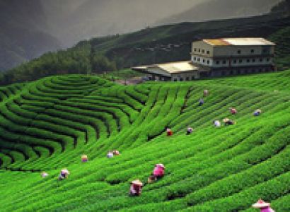 Delightful Uttarakhand Tour