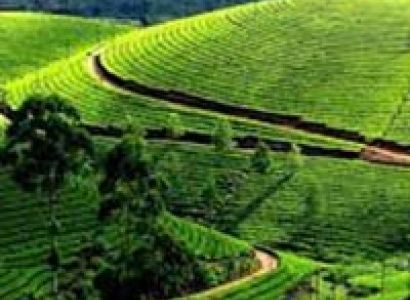 Visakhapatnam - Araku Valley Tour Package