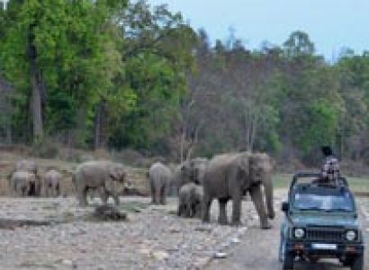Wildlife Tour Packages Rajaji National Park