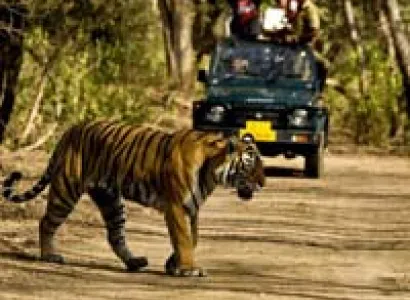 Jim Corbett Wild Life Tour