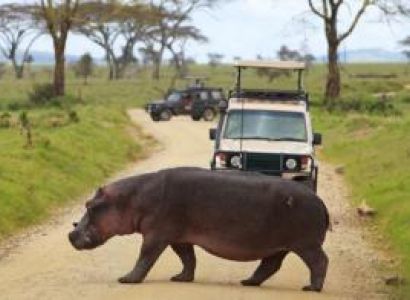 3 Days Selous Safari Package