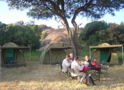 5 Days Tarangire Manyara Serengeti Ngorongoro Crater Safari Tour Package