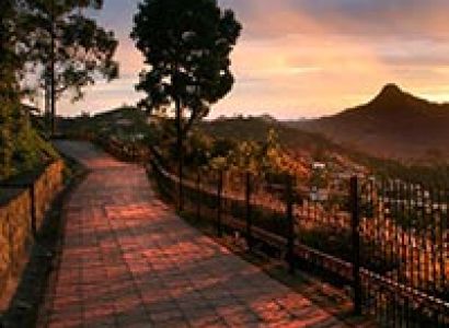 South Hill stations Honeymoon Tour