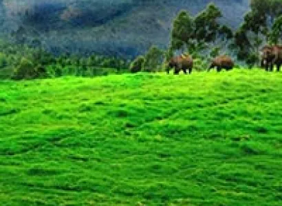 Kerala Holiday Tour package 7D 6N