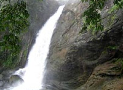 Bangalore - Wayanand Tour