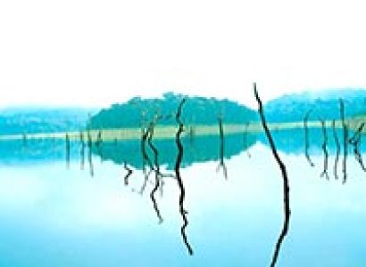 5 Days Premium Kerala Package