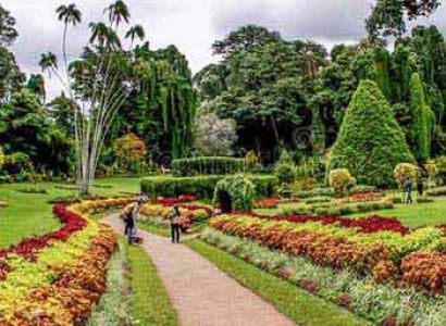 Explore Sri Lanka Tour