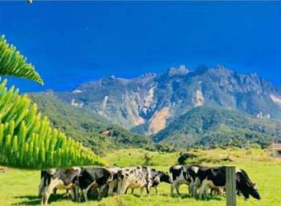 Kota Kinabalu Leisure Tour