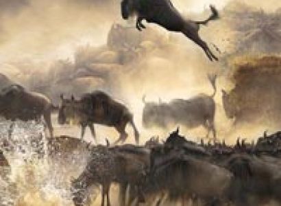 Masai Mara National Reserve