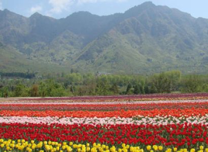 Kashmir - E - Kashmir Tour