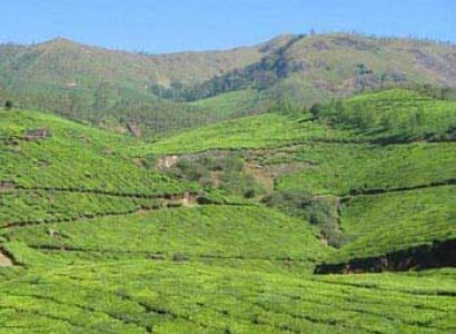 Mystical Backwaters of Kerala Package