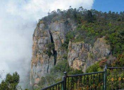 Picturesque Ooty Package