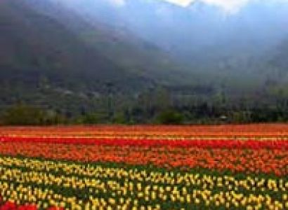 Beautiful Kashmir Tour