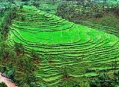 Darjeeling (Queen Of The Hills ) Tour