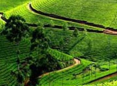 Kodaikanal Holiday Packages