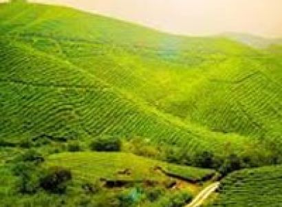 Kodaikanal Honeymoon Packages
