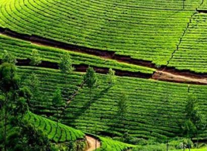 Coonoor with Ooty Tour