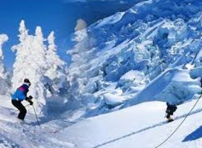 Shimla - Kullu - Manali Tour