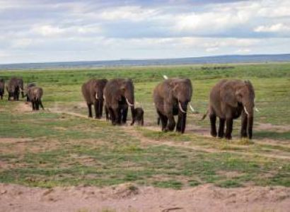 3 Days 2 Nights Amboseli National Park Tour