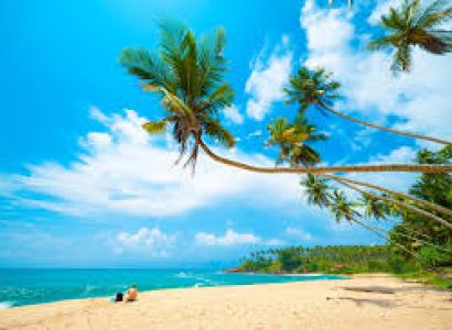 Mini Tour of Sri Lanka