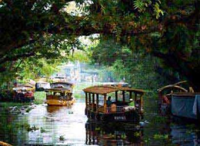 Munnar-Alleppy-Cochin Tour