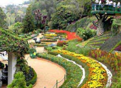Ooty-Kodai Tour