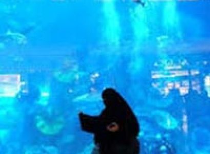 Delightful Dubai Tour