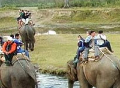 Short Escape of Bandipur Tour