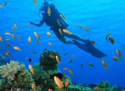 Amazing Andaman Tour (6 Nights)
