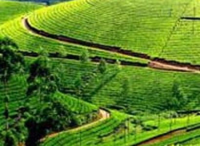 Kerala 5 Nights/ 6 Days Tour