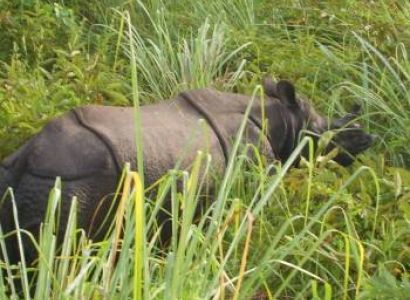 Un-explored Dooars Tour