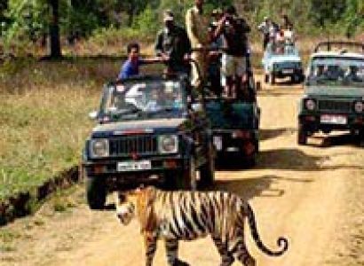 Jimcorbett and Nainital Tour