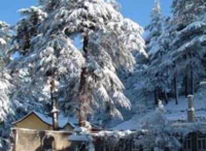 Delhi Manali Tour by Volvo