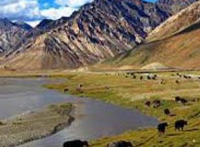 Chadar trek in Zanskar Tour