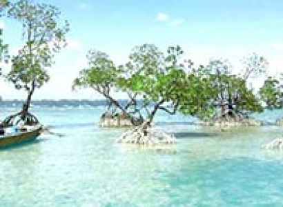 Andaman Nicobar Package