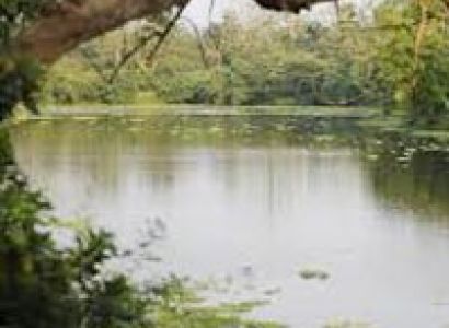 Refresh In Assam And Meghalaya