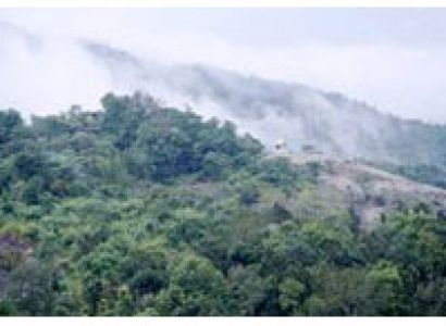 2 N Ooty 2 N Wayanad 2 N Coorg 1 N Mysore TOur