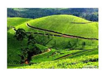 2 N Mysore 2 N Ooty 2 N Kodaikanal 2 N Bangalore Tour