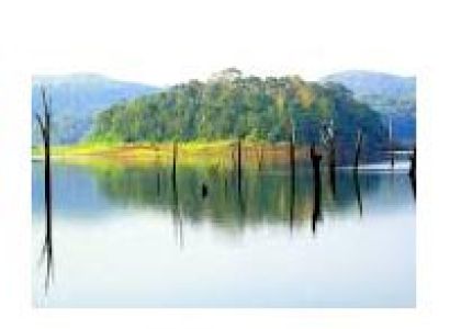 2 N Munnar 1 N Thekkady 1 N Alleppey Tour