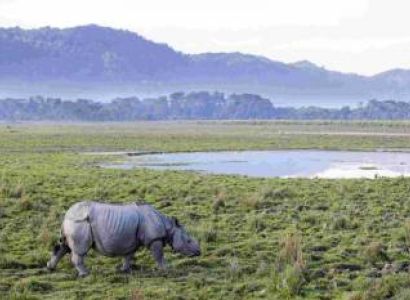 Green Triangle – Guwahati – Kaziranga – Shillong Package