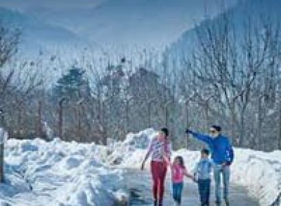 Shimla Manali Tour 4