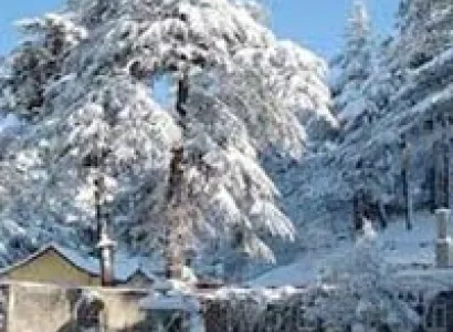 Shimla Tour 2