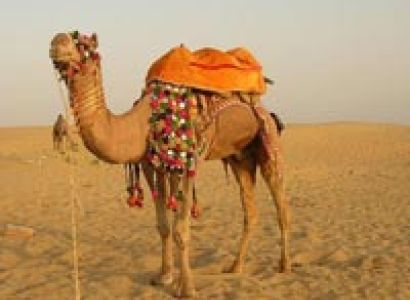 Delhi Jaipur Udaipur Jaipur Agra Delhi Tour